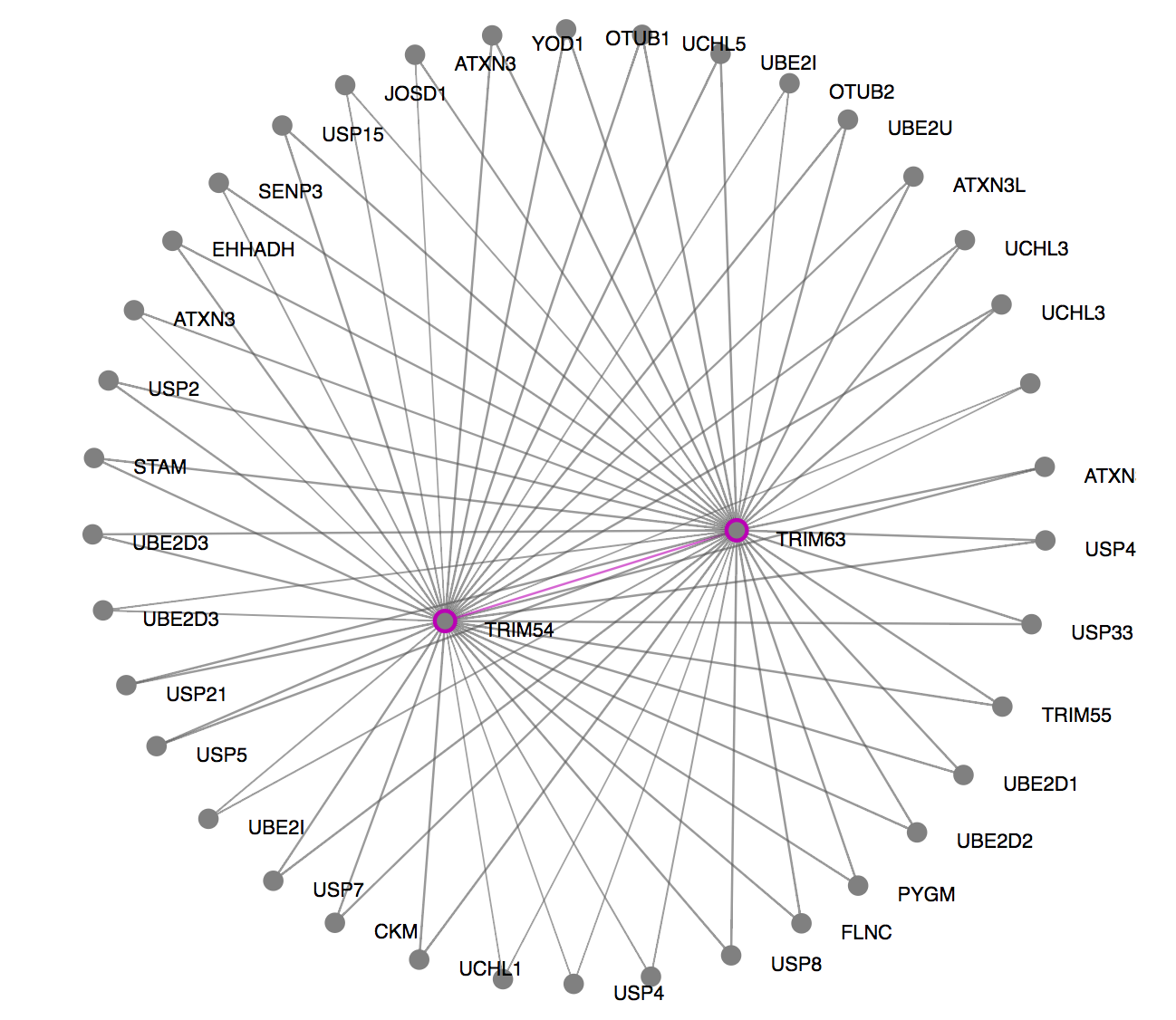 Example of a PPI network