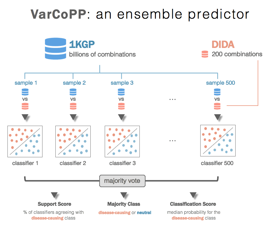 summary of varcopp structure